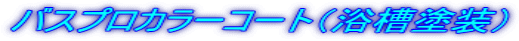 バスプロカラーコート(浴槽塗装)